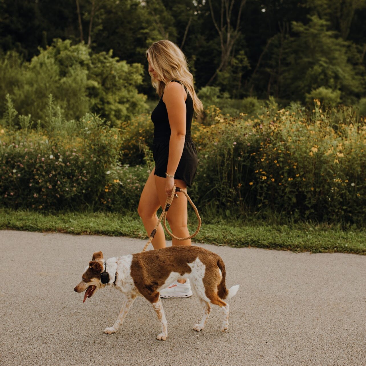 On-Leash Training